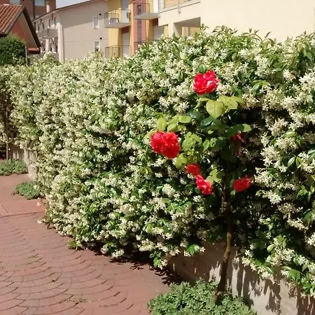 Appartamenti Bedin, Jesolo Lido di Jesolo Exterior foto